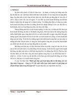 Đánh giá hiệu quả hoạt động đầu tư bất động sản của tập đoàn vingroup – công ty CP  đề xuất chiến lược kinh doanh và giải pháp tài chính để thực hiện 