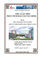 Phân tích báo cáo tài chính công ty tnhh thương mại và dịch vụ sapa 
