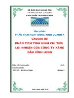 Phân tích tình hình lợi nhuận của công ty xăng dầu vĩnh long