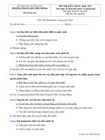 lý luận nhà nước về pháp luật