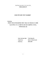 PHÂN TÍCH TÌNH HÌNH TIÊU THỤ sản PHẨM cà PHÊ tại CÔNG TY cà PHÊ 49, HUYỆN KRÔNG NĂNG, 
