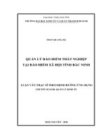 Quản lý bảo hiểm thất nghiệp tại Bảo hiểm xã hội tỉnh Bắc Ninh (Luận văn thạc sĩ)