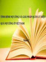 tình hình nợ công và giải pháp trong giai đoạn hiện nay của việt nam slide 