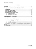 Tiểu luận đánh giá tình hình sử dụng đất ở việt nam hiện nay 