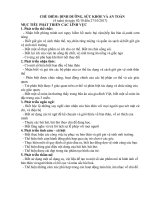 giáo án bản thân