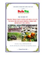 Dự án trang trại chăn nuôi lợn đen   gà cỏ   vịt bầu theo mô hình bán thả rong huyện quế phong tỉnh nghệ an 