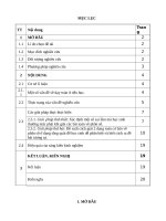 Kinh nghiệm giúp học sinh phân biệt cách giải hai dạng toán cơ bản về phân số 