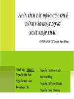 Tiểu luận phân tích tác động của thuế đánh vào hoạt động xuất nhập khẩu slide 