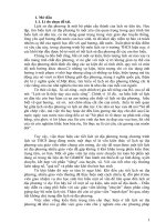 Một số kinh nghiệm trong dạy học lịch sử địa phương bậc THCS theo hướng phát huy tính chủ động, sáng tạo của học sinh qua bài “khởi nghĩa bà triệu”tiết 37 –lịch sử địa phương lớp 6 