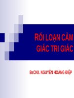 rối loạn cảm giác tri giác