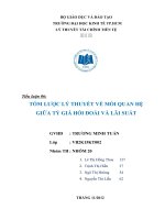 Tiểu luận tóm lược lý thuyết về mối quan hệ giữa tỷ giá hối đoái và lãi suất 