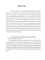 Tiểu luận điều kiện thực thi tốt pháp luật thuế tiêu thụ đặc biệt 