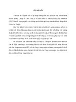 Tiểu luận phân tích báo cáo tài chính công ty STC