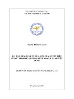 Dự báo qua hành vi mua sắm của người tiêu dùng trong hoạt động kinh doanh hàng tiêu dùng: luận văn thạc sĩ