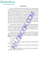 Một số giải pháp cho vấn đề huy động và sử dụng vốn có hiệu quả tại công ty bánh kẹo hải hà 