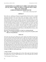 Ảnh hưởng của thời gian chiếu sáng bổ sung lên sự phát triển nụ hoa và phẩm chất chậu hoa cúc mâm xôi