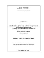 Nghiên cứu một số biện pháp kỹ thuật trong nhân giống cây sơn đậu tại huyện nguyên bình tỉnh cao bằng