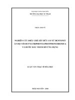 Nghiên cứu điều chế sét hữu cơ từ bentonit Ấn Độ với butyltriphenylphotphoni bromua và bước đầu thăm dò ứng dụng (Luận văn thạc sĩ)