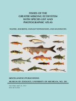 Atlat Thành phần loài Cá Mê Kông