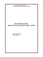 Tham khảo báo cáo sư phạm cơ bản