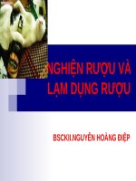 bài giảng về nghiện rượu sản rượu