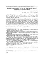 BIẾN ĐỔI THÀNH PHẦN LOÀI CÁ Ở HẠ LƯU SÔNG SÀI GÒN TRƯỚC VÀ SAU KHU XÂY DỰNG HỒ DẦU TIẾNG