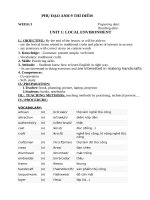 Giáo án tiếng anh lớp 8 dạy thêm chiều mẫu mới  hiếu trung 