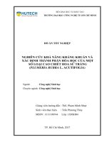 Nghiên cứu khả năng kháng khuẩn và xác định thành phần hóa học của một số loại cao chiết hoa sứ trắng (plumeria rubra l  acutifolia) 