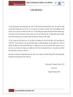 Tiểu luận phân tích hoạt động tài chính của công ty cổ phần sữa việt nam vinamilk 