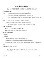 Giáo án Sinh học 6 bài 24: Phần lớn nước vào cây đi đâu?
