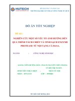 Nghiên cứu một số yếu tố ảnh hưởng đến quá trình tách chiết và tinh sạch enzyme protease từ nội tạng cá basa 