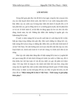 Tiểu luận hiện tượng đô la hoá ở việt nam – tình trạng và giải pháp khắc phục