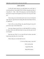 Thiết kế và chế tạo máy gieo hạt liên hợp 