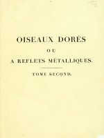 Oiseaux dores ou a reflets metalliques V2, Audebert and Vieillot, 1802
