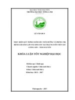 Thực hiện quy trình chăm sóc nuôi dưỡng và phòng trị bệnh cho đàn lợn nái sinh sản tại trại nguyễn tiến chi – lương sơn – thái nguyên 