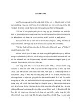 Tiểu luận hướng giải quyết vụ khiếu kiện về tranh chấp đất đai