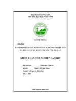 Đánh giá hiệu quả sử dụng đất sản xuất nông nghiệp trên địa bàn xã cao kỳ, huyện chợ mới, tỉnh bắc kạn 