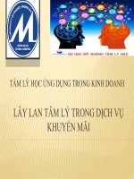 THUYẾT TRÌNH TÂM LÝ TRONG KINH DOANH: CÁC HÌNH THỨC KHUYẾN MÃI TẠO LÂY LAN TÂM LÝ