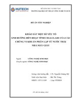 Khảo sát một số yếu tố ảnh hưởng đến hoạt tính ellulase của các chủng vi khuẩn phân lập từ nước thải nhà máy giấy 