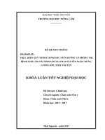 Thực hiện quy trình chăm sóc nuôi dưỡng và phòng trị bệnh cho đàn lợn nái sinh sản tại trại nguyễn ngọc hùng   lương sơn   thái nguyên 