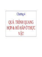 Quá trình quang hợp và hô hấp ở thực vật
