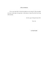 Hoạt động quản lý điều hành công ty của giám đốc theo pháp luật việt nam (luận văn thạc sĩ luật học) 