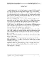 Hoàn thiện chính sách huy động vốn tại chi nhánh ngân hàng nông nghiệp và phát triển nông thôn trường sơn (TP HCM) (1) 