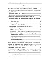 Một số giải pháp nâng cao hiệu quả công tác marketing tại ngân hàng việt nam thịnh vượng chi nhánh nghệ an 