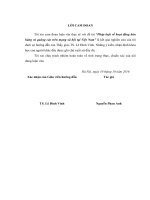 Pháp luật về hoạt động bán hàng và quảng cáo trên mạng xã hội tại việt nam (luận văn thạc sĩ luật học) 