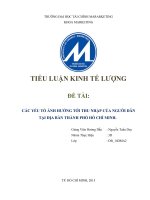 TIỂU LUẬN KINH TẾ LƯỢNG CÁC YẾU TỐ ẢNH HƯỞNG ĐẾN THU NHẬP CỦA NGƯỜI DÂN TẠI TPHCM