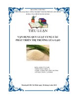 Vận dụng quy luật cung cầu đề phát triển thị trường lúa gạo việt nam 