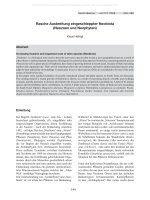 Forest Observer, Autonome Provinz Bozen, Abteilung Forstwirtschaft Vol 002-003-0349-0388