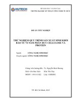 Thử nghiệm quy trình sản xuất sinh khối bào tử vi nấm phân huỷ cellulose và protein 