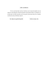 Phong tục, tập quán việt nam trong mối quan hệ với những quy định pháp luật về hiến, lấy, ghép mô, bộ phận cơ thể người và hiến, lấy xác 